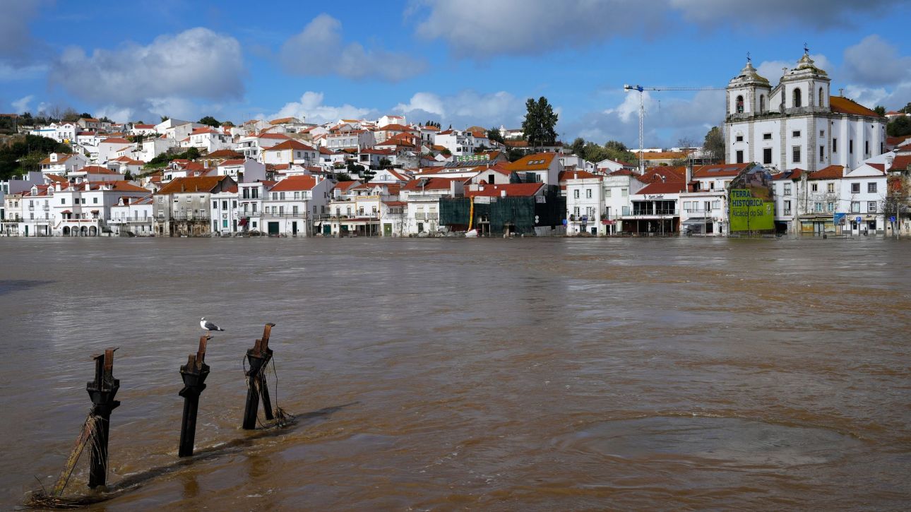 &Pi;&lambda;&eta;&mu;&mu;ύ&rho;&epsilon;&sigmaf; &sigma;&tau;&eta;&nu; &Pi;&omicron;&rho;&tau;&omicron;&gamma;&alpha;&lambda;ί&alpha;: &Nu;&epsilon;&kappa;&rho;ό&sigmaf; έ&nu;&alpha;&sigmaf; &pi;&upsilon;&rho;&omicron;&sigma;&beta;έ&sigma;&tau;&eta;&sigmaf;