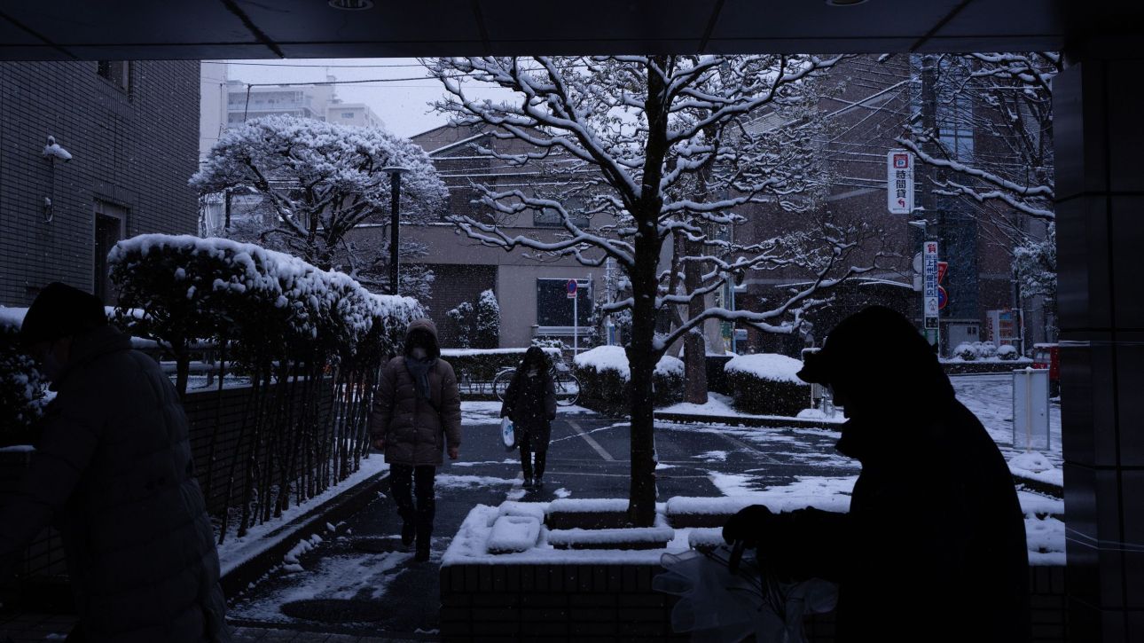 &Epsilon;&kappa;&lambda;&omicron;&gamma;έ&sigmaf; &sigma;&tau;&eta;&nu; &Iota;&alpha;&pi;&omega;&nu;ί&alpha;: &Psi;ή&phi;&omicron; &epsilon;&mu;&pi;&iota;&sigma;&tau;&omicron;&sigma;ύ&nu;&eta;&sigmaf; &alpha;&pi;ό &tau;&omicron;&upsilon;&sigmaf; &pi;&omicron;&lambda;ί&tau;&epsilon;&sigmaf; &zeta;&eta;&tau;ά &eta; &pi;&rho;&omega;&theta;&upsilon;&pi;&omicron;&upsilon;&rho;&gamma;ό&sigmaf; &Sigma;&alpha;&nu;ά&epsilon; &Tau;&alpha;&kappa;&alpha;ΐ&tau;&sigma;&iota;