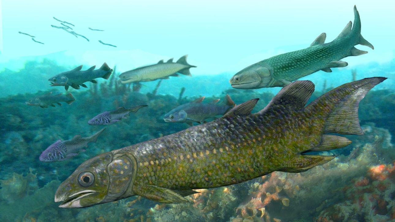 &Alpha;&iota;&nu;&iota;&gamma;&mu;&alpha;&tau;&iota;&kappa;ά &alpha;&pi;&omicron;&lambda;&iota;&theta;ώ&mu;&alpha;&tau;&alpha; &sigma;&upsilon;&mu;&pi;&lambda;&eta;&rho;ώ&nu;&omicron;&upsilon;&nu; &tau;&alpha; &kappa;&epsilon;&nu;ά &kappa;&epsilon;&phi;ά&lambda;&alpha;&iota;&alpha; &sigma;&tau;&eta;&nu; &iota;&sigma;&tau;&omicron;&rho;ί&alpha; &tau;&omega;&nu; &pi;&rho;ώ&tau;&omega;&nu; &psi;&alpha;&rho;&iota;ώ&nu; &tau;&eta;&sigmaf; &Gamma;&eta;&sigmaf;