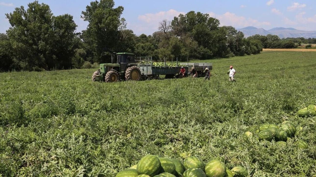 &Epsilon;&nu;&iota;&alpha;ί&alpha; &Alpha;ί&tau;&eta;&sigma;&eta; &Epsilon;&nu;ί&sigma;&chi;&upsilon;&sigma;&eta;&sigmaf;: &Pi;ώ&sigmaf; &upsilon;&pi;&omicron;&beta;ά&lambda;&lambda;&epsilon;&tau;&alpha;&iota; &alpha;&pi;ό &pi;&alpha;&rho;&alpha;&gamma;&omega;&gamma;&omicron;ύ&sigmaf;, &alpha;&gamma;&rho;ό&tau;&epsilon;&sigmaf;, &kappa;&tau;&eta;&nu;&omicron;&tau;&rho;ό&phi;&omicron;&upsilon;&sigmaf;