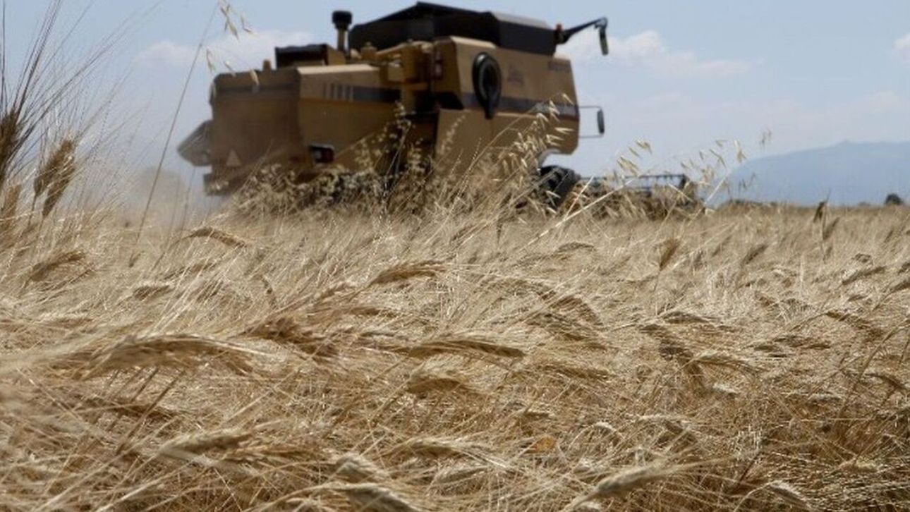 &Pi;ώ&sigmaf; &upsilon;&pi;&omicron;&beta;ά&lambda;&lambda;&epsilon;&tau;&alpha;&iota; &alpha;&pi;ό &pi;&alpha;&rho;&alpha;&gamma;&omega;&gamma;&omicron;ύ&sigmaf;, &alpha;&gamma;&rho;ό&tau;&epsilon;&sigmaf; &kappa;&alpha;&iota; &kappa;&tau;&eta;&nu;&omicron;&tau;&rho;ό&phi;&omicron;&upsilon;&sigmaf; &eta; &Epsilon;&nu;&iota;&alpha;ί&alpha; &Alpha;ί&tau;&eta;&sigma;&eta; &Epsilon;&nu;ί&sigma;&chi;&upsilon;&sigma;&eta;&sigmaf;
