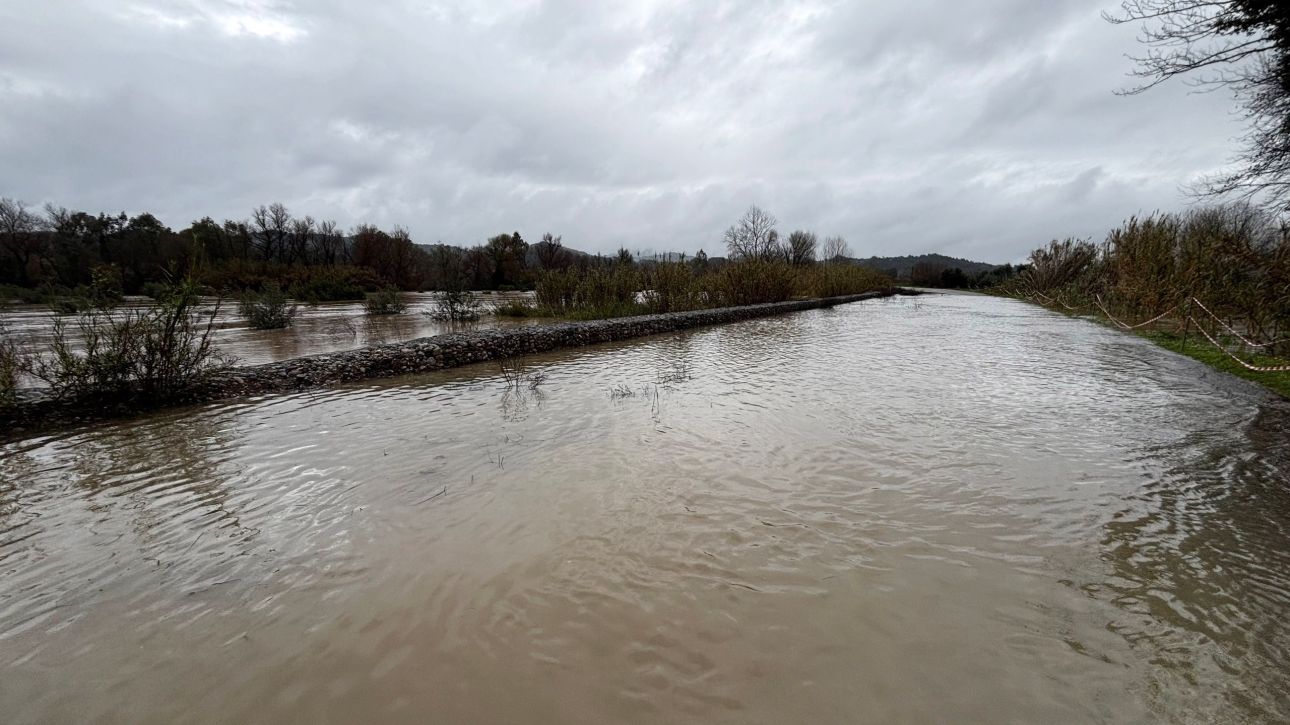 &Upsilon;&pi;&epsilon;&rho;&chi;&epsilon;ί&lambda;&eta;&sigma;&epsilon; &omicron; &Alpha;&lambda;&phi;&epsilon;&iota;ό&sigmaf; &sigma;&tau;&eta;&nu; &Eta;&lambda;&epsilon;ί&alpha; - Έ&sigma;&pi;&alpha;&sigma;&alpha;&nu; &tau;&alpha; &alpha;&nu;&alpha;&chi;ώ&mu;&alpha;&tau;&alpha;, &pi;&lambda;&eta;&mu;ύ&rho;&iota;&sigma;&alpha;&nu; &delta;&rho;ό&mu;&omicron;&iota; &kappa;&alpha;&iota; &kappa;&alpha;&lambda;&lambda;&iota;έ&rho;&gamma;&epsilon;&iota;&epsilon;&sigmaf;