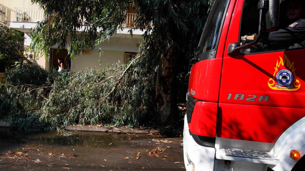 &Sigma;ά&rho;&omega;&sigma;&alpha;&nu; &tau;&eta;&nu; &Kappa;&rho;ή&tau;&eta; &theta;&upsilon;&epsilon;&lambda;&lambda;ώ&delta;&epsilon;&iota;&sigmaf; &nu;&omicron;&tau;&iota;ά&delta;&epsilon;&sigmaf; &pi;&omicron;&upsilon; έ&tau;&rho;&epsilon;&chi;&alpha;&nu; &mu;&epsilon; 120 &chi;&lambda;&mu;/ώ&rho;&alpha;