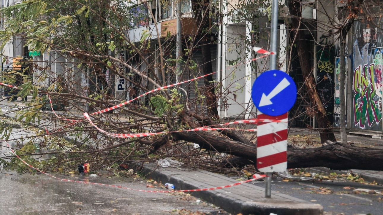 &Kappa;&alpha;&kappa;&omicron;&kappa;&alpha;&iota;&rho;ί&alpha;: &Omicron;&lambda;ό&kappa;&lambda;&eta;&rho;&eta; &pi;&lambda;&alpha;&gamma;&iota;ά έ&tau;&omicron;&iota;&mu;&eta; &nu;&alpha; &pi;έ&sigma;&epsilon;&iota; &pi;ά&nu;&omega; &sigma;&epsilon; &pi;&omicron;&lambda;&upsilon;&kappa;&alpha;&tau;&omicron;&iota;&kappa;ί&alpha; &sigma;&tau;&iota;&sigmaf; &Sigma;&upsilon;&kappa;&iota;έ&sigmaf; &sigma;&tau;&eta; &Theta;&epsilon;&sigma;&sigma;&alpha;&lambda;&omicron;&nu;ί&kappa;&eta;