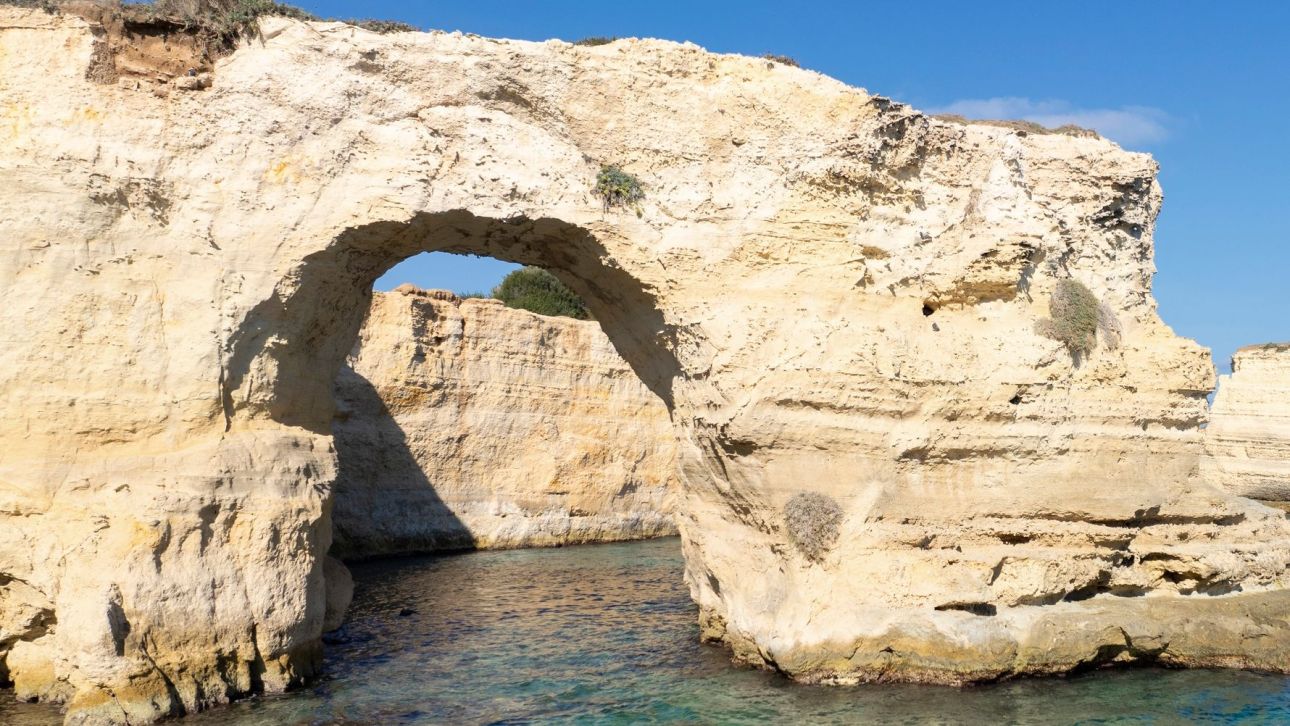 &Iota;&tau;&alpha;&lambda;ί&alpha;: &Kappa;&alpha;&tau;έ&rho;&rho;&epsilon;&upsilon;&sigma;&epsilon; &eta; &delta;&iota;ά&sigma;&eta;&mu;&eta; &laquo;&Alpha;&psi;ί&delta;&alpha; &tau;&omega;&nu; &Epsilon;&rho;&alpha;&sigma;&tau;ώ&nu;&raquo; &alpha;&nu;ή&mu;&epsilon;&rho;&alpha; &tau;&omicron;&upsilon; &Alpha;&gamma;ί&omicron;&upsilon; &Beta;&alpha;&lambda;&epsilon;&nu;&tau;ί&nu;&omicron;&upsilon;