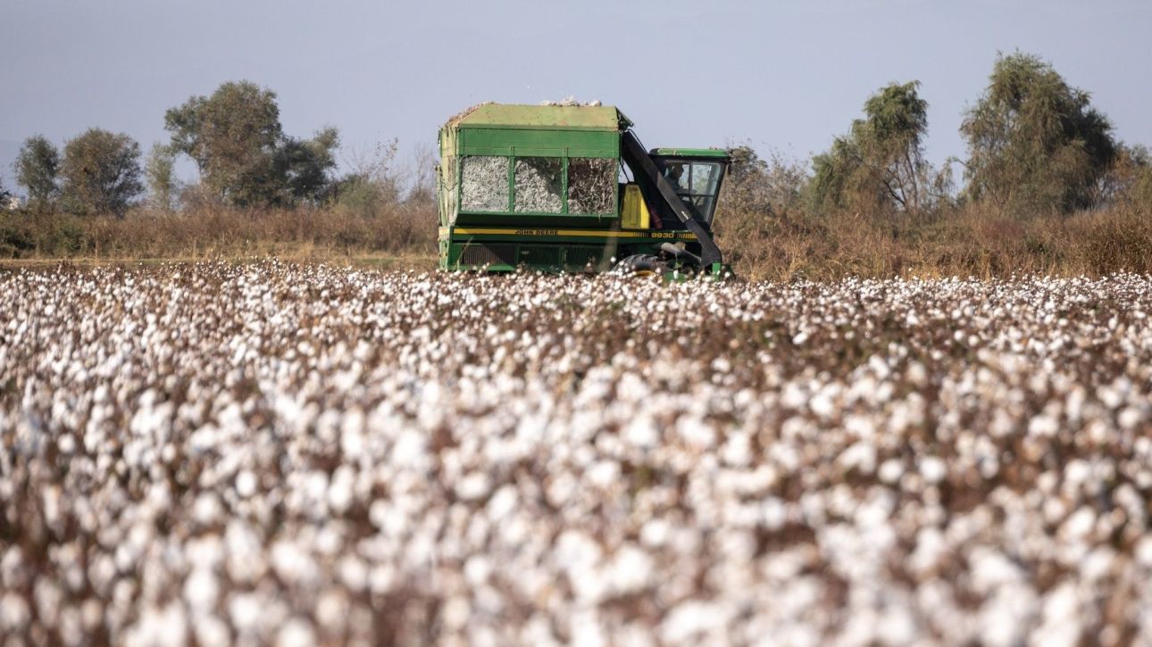 &Nu;έ&epsilon;&sigmaf; &rho;&upsilon;&theta;&mu;ί&sigma;&epsilon;&iota;&sigmaf; &gamma;&iota;&alpha; &tau;&omicron;&upsilon;&sigmaf; &alpha;&gamma;&rho;ό&tau;&epsilon;&sigmaf;: &Pi;&alpha;&rho;ά&tau;&alpha;&sigma;&eta; έ&omega;&sigmaf; 31 &Delta;&epsilon;&kappa;&epsilon;&mu;&beta;&rho;ί&omicron;&upsilon; &gamma;&iota;&alpha; &chi;&rho;&eta;&mu;&alpha;&tau;&omicron;&delta;ό&tau;&eta;&sigma;&eta; &kappa;&alpha;&iota; &alpha;&gamma;&rho;&omicron;&tau;&iota;&kappa;ά &alpha;&kappa;ί&nu;&eta;&tau;&alpha;