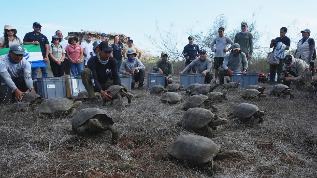 &Chi;&epsilon;&lambda;ώ&nu;&epsilon;&sigmaf; &epsilon;&pi;έ&sigma;&tau;&rho;&epsilon;&psi;&alpha;&nu; &sigma;&tau;&alpha; &nu;&eta;&sigma;&iota;ά &Gamma;&kappa;&alpha;&lambda;&alpha;&pi;ά&gamma;&kappa;&omicron;&sigmaf; &mu;&epsilon;&tau;ά &alpha;&pi;ό 150 &chi;&rho;ό&nu;&iota;&alpha; &alpha;&pi;&omicron;&upsilon;&sigma;ί&alpha;&sigmaf;