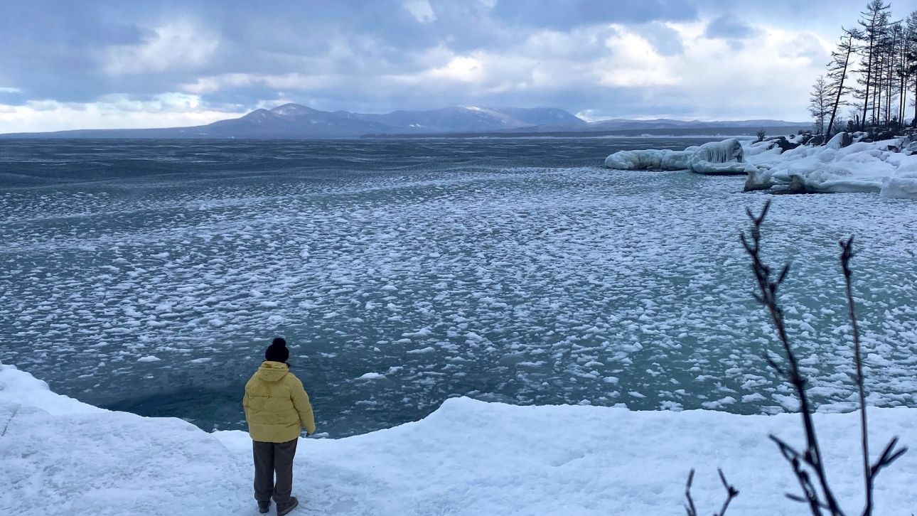 &Kappa;&alpha;&rho;έ &kappa;&alpha;&rho;έ &eta; &epsilon;&pi;&iota;&chi;&epsilon;ί&rho;&eta;&sigma;&eta; &tau;&omega;&nu; &Rho;ώ&sigma;&omega;&nu; &gamma;&iota;&alpha; &tau;&eta;&nu; &alpha;&nu;ά&sigma;&upsilon;&rho;&sigma;&eta; &omicron;&kappa;&tau;ώ &sigma;&omicron;&rho;ώ&nu; &alpha;&pi;ό &tau;&eta; &lambda;ί&mu;&nu;&eta; &Beta;&alpha;ϊ&kappa;ά&lambda;&eta;