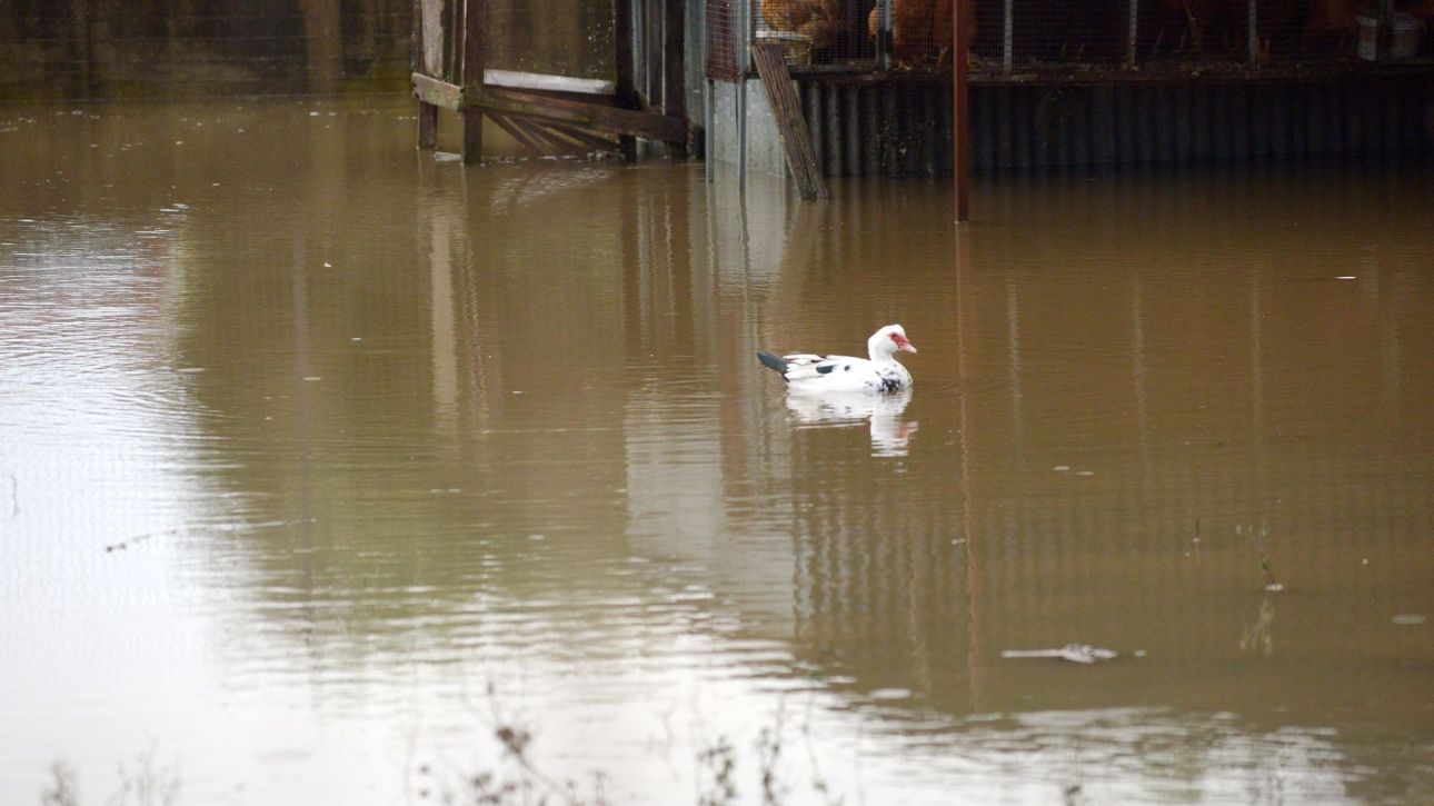 Έ&pi;&epsilon;&sigma;&alpha;&nu; 300 &chi;&iota;&lambda;&iota;&omicron;&sigma;&tau;ά &beta;&rho;&omicron;&chi;ή&sigmaf; &sigma;&tau;&omicron; &pi;&rho;ώ&tau;&omicron; &delta;ί&mu;&eta;&nu;&omicron;: &Gamma;&iota;&alpha;&tau;ί &eta; &delta;&upsilon;&tau;&iota;&kappa;ή &Epsilon;&lambda;&lambda;ά&delta;&alpha; &delta;&omicron;&kappa;&iota;&mu;ά&zeta;&epsilon;&tau;&alpha;&iota; &alpha;&pi;ό &iota;&sigma;&chi;&upsilon;&rho;ά &phi;&alpha;&iota;&nu;ό&mu;&epsilon;&nu;&alpha;