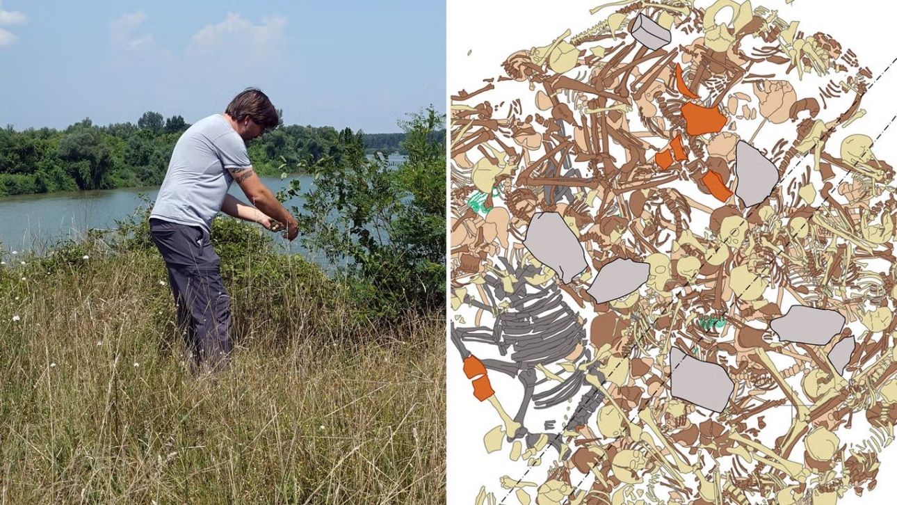 Μακάβριο μυστήριο 3.000 ετών: Ομαδικός τάφος με 77 ανθρώπους και...μία αγελάδα στη Σερβία