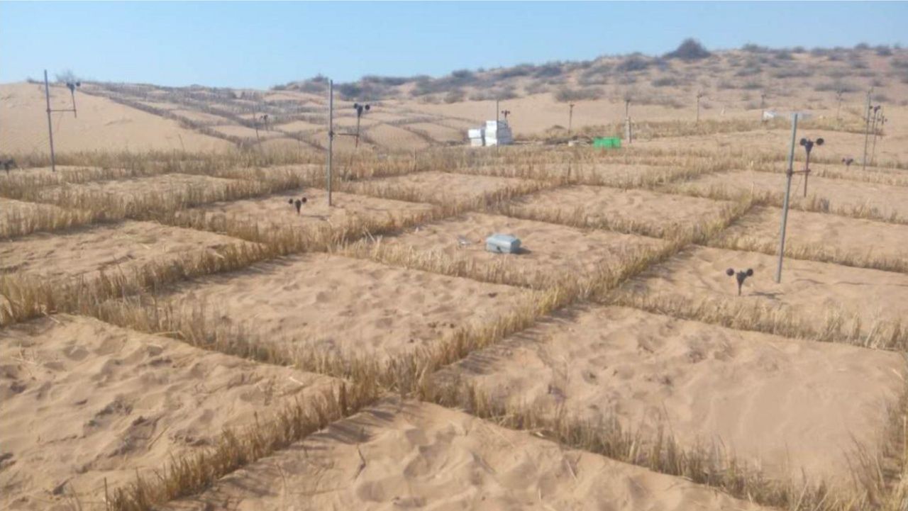 &Omicron;&iota; &Kappa;&iota;&nu;έ&zeta;&omicron;&iota; &chi;&rho;&eta;&sigma;&iota;&mu;&omicron;&pi;&omicron;&iota;&omicron;ύ&nu; &beta;&alpha;&kappa;&tau;ή&rho;&iota;&alpha; &pi;&omicron;&upsilon; &mu;&epsilon;&tau;&alpha;&tau;&rho;έ&pi;&omicron;&upsilon;&nu; &tau;&eta;&nu; έ&rho;&eta;&mu;&omicron; &sigma;&epsilon; &kappa;&alpha;&lambda;&lambda;&iota;&epsilon;&rho;&gamma;ή&sigma;&iota;&mu;&eta; &gamma;&eta; &mu;έ&sigma;&alpha; &sigma;&epsilon; 10 &mu;ή&nu;&epsilon;&sigmaf;