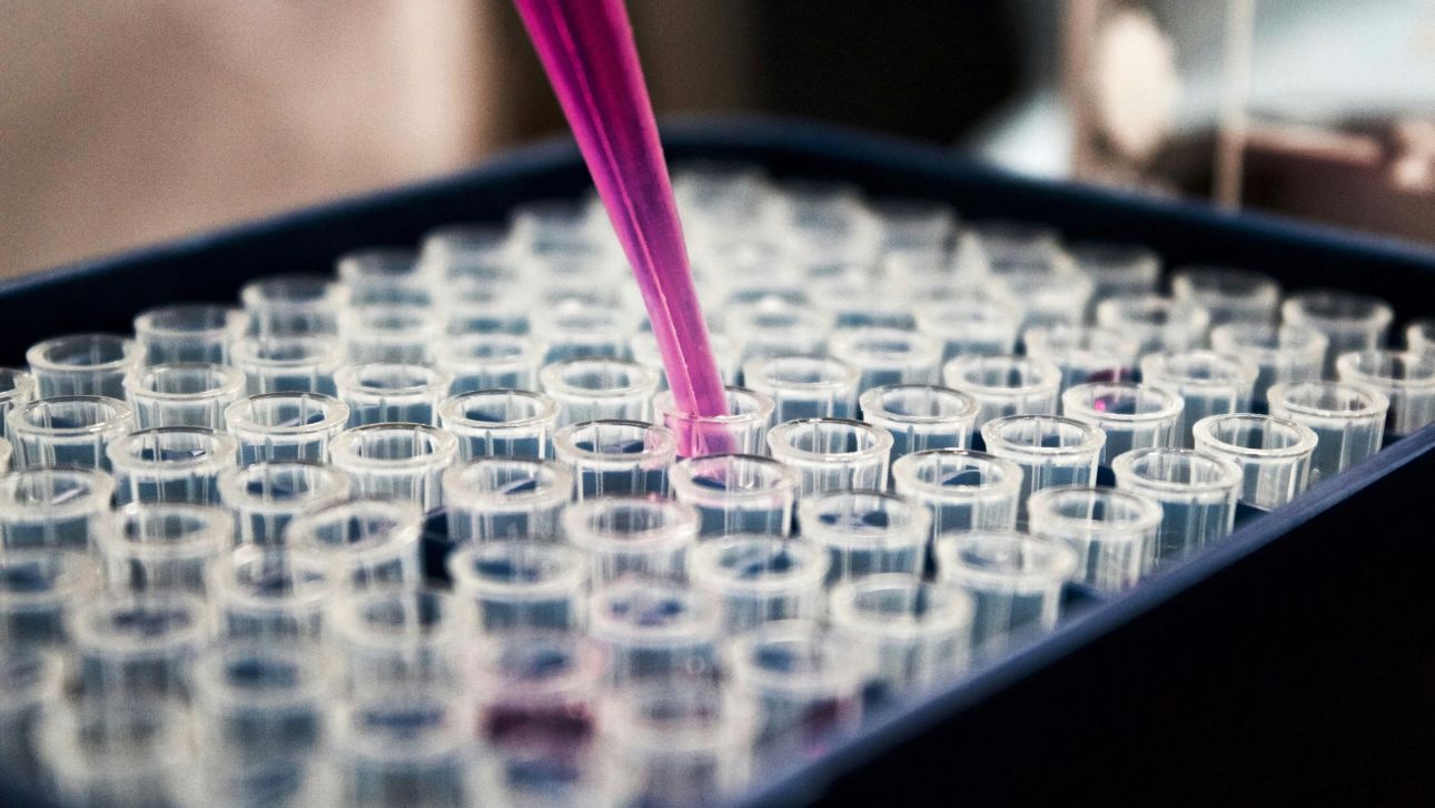 Ανακάλυψη προϊστορικού DNA αναθεωρεί την ιστορία των πληθυσμών στην Ανατολική Ασία