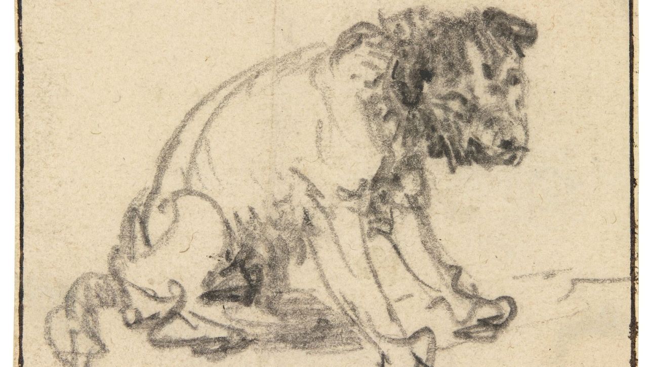 Ολλανδία: Σε έκθεση 35 αυθεντικά έργα του σπουδαίου ζωγράφου Ρέμπραντ