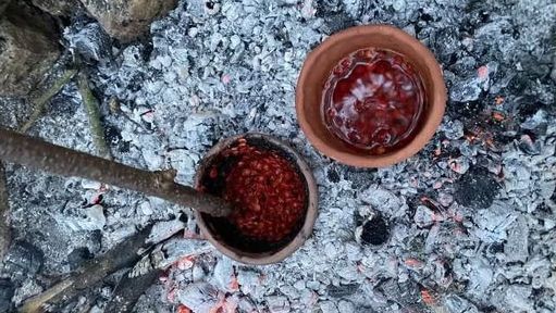 Νέα έρευνα αποκαλύπτει πως οι προϊστορικοί Ευρωπαίοι συνδύαζαν φυτά και ψάρια σε πολύπλοκα γεύματα