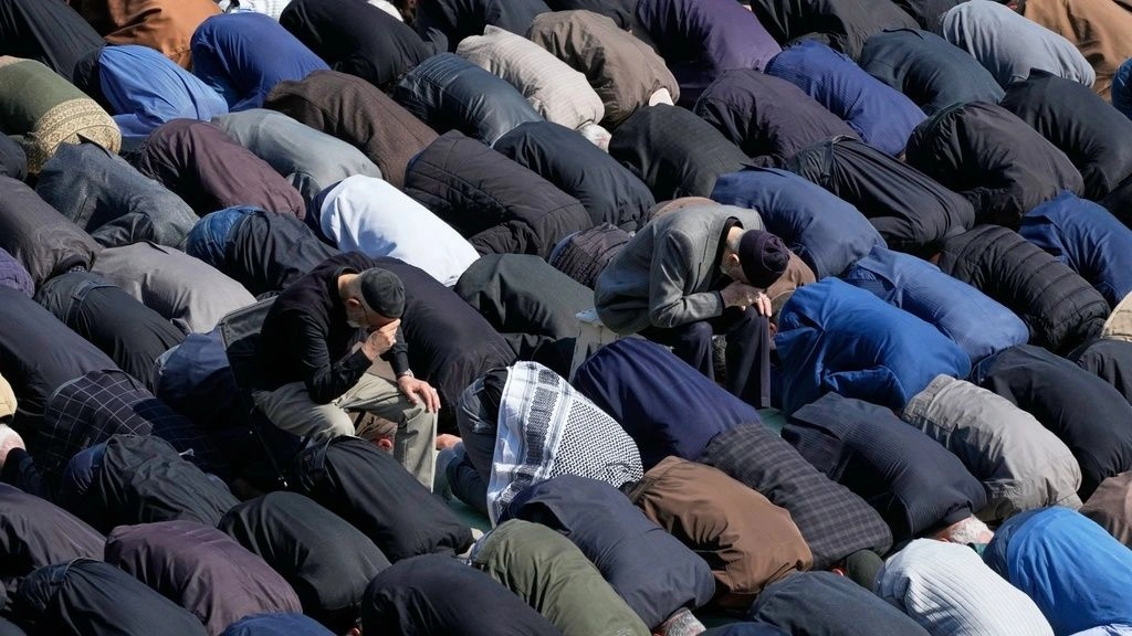 dba7d1b9 ap26065356420410