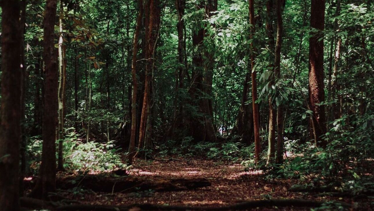 &Alpha;&chi;&alpha;ΐ&alpha;: 62&chi;&rho;&omicron;&nu;&omicron;&sigmaf; &pi;έ&theta;&alpha;&nu;&epsilon; &alpha;&pi;ό &alpha;&kappa;&alpha;&tau;ά&sigma;&chi;&epsilon;&tau;&eta; &alpha;&iota;&mu;&omicron;&rho;&rho;&alpha;&gamma;ί&alpha; ό&tau;&alpha;&nu; &tau;&rho;&alpha;&upsilon;&mu;&alpha;&tau;ί&sigma;&tau;&eta;&kappa;&epsilon; &kappa;&alpha;&tau;ά &lambda;ά&theta;&omicron;&sigmaf; &mu;&epsilon; &tau;&sigma;&epsilon;&kappa;&omicron;ύ&rho;&iota;