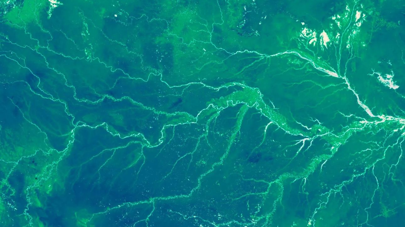 &Omicron;&iota; &epsilon;&pi;&iota;&sigma;&tau;ή&mu;&omicron;&nu;&epsilon;&sigmaf; &laquo;&zeta;ύ&gamma;&iota;&sigma;&alpha;&nu;&raquo; &tau;&eta; &beta;&lambda;ά&sigma;&tau;&eta;&sigma;&eta; &tau;&omicron;&upsilon; &pi;&lambda;&alpha;&nu;ή&tau;&eta; &kappa;&alpha;&iota; &pi;&alpha;&rho;&alpha;&kappa;&omicron;&lambda;&omicron;&upsilon;&theta;&omicron;ύ&nu; &tau;&iota;&sigmaf; &mu;&epsilon;&tau;&alpha;&tau;&omicron;&pi;ί&sigma;&epsilon;&iota;&sigmaf; &tau;&eta;&sigmaf; &sigma;&tau;&omicron;&nu; &chi;ά&rho;&tau;&eta;