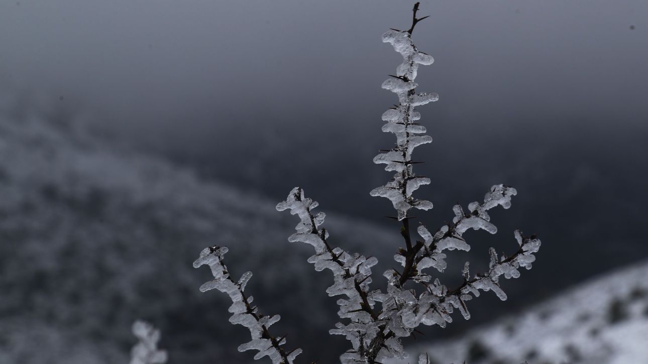 &Sigma;&tau;&alpha; &lambda;&epsilon;&upsilon;&kappa;ά &eta; &Epsilon;&lambda;&lambda;ά&delta;&alpha; &kappa;&alpha;&iota; &tau;&omicron;&nu; &Mu;ά&rho;&tau;&iota;&omicron;: &Chi;&iota;ό&nu;&iota;&alpha; &sigma;&epsilon; &omicron;&rho;&epsilon;&iota;&nu;έ&sigmaf; &pi;&epsilon;&rho;&iota;&omicron;&chi;έ&sigmaf; &kappa;&alpha;&iota; &sigma;&tau;&eta;&nu; &Kappa;έ&rho;&kappa;&upsilon;&rho;&alpha;- &Epsilon;&nu;&tau;&upsilon;&pi;&omega;&sigma;&iota;&alpha;&kappa;έ&sigmaf; &epsilon;&iota;&kappa;ό&nu;&epsilon;&sigmaf;