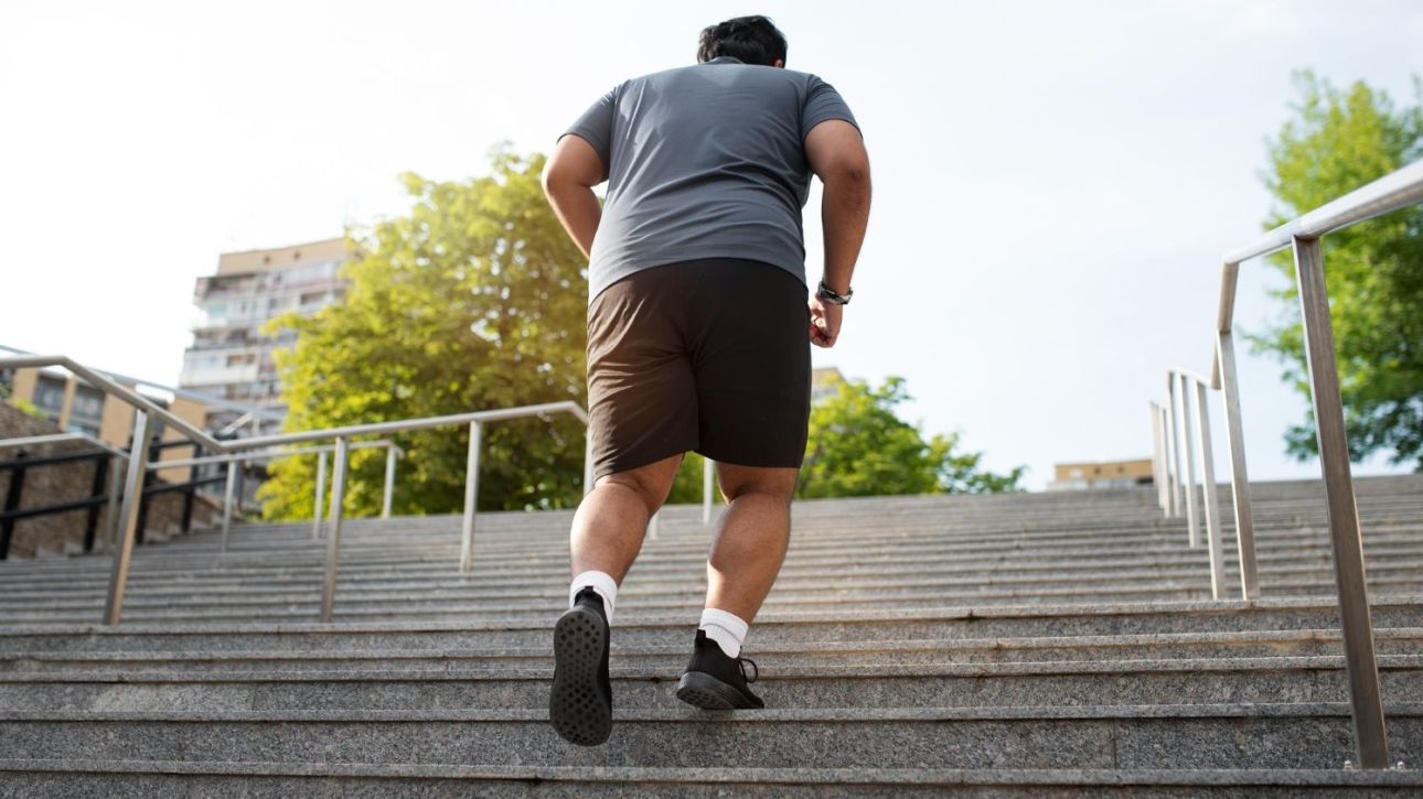 &Pi;&alpha;&chi;&upsilon;&sigma;&alpha;&rho;&kappa;ί&alpha; &kappa;&alpha;&iota; &kappa;&alpha;&rho;&kappa;ί&nu;&omicron;&sigmaf;: Έ&nu;&alpha; &epsilon;&pi;&iota;&kappa;ί&nu;&delta;&upsilon;&nu;&omicron; &laquo;&zeta;&epsilon;&upsilon;&gamma;ά&rho;&iota;&raquo; &kappa;&alpha;&iota; &mu;ί&alpha; &delta;ύ&sigma;&kappa;&omicron;&lambda;&eta; &beta;&iota;&omicron;&lambda;&omicron;&gamma;&iota;&kappa;ή &sigma;&upsilon;&nu;&theta;ή&kappa;&eta;