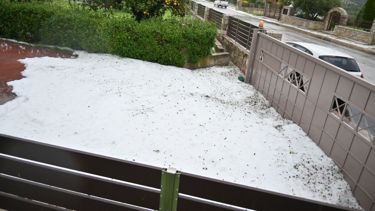 &Tau;&omicron; έ&sigma;&tau;&rho;&omega;&sigma;&epsilon; &mu;&epsilon;... &chi;&alpha;&lambda;ά&zeta;&iota; &sigma;&tau;&eta;&nu; &Chi;&alpha;&lambda;&kappa;&iota;&delta;&iota;&kappa;ή: &Lambda;&epsilon;&upsilon;&kappa;ό &sigma;&tau;&rho;ώ&mu;&alpha; &pi;ά&gamma;&omicron;&upsilon; &kappa;ά&lambda;&upsilon;&psi;&epsilon; &tau;&omicron;&nu; &Pi;&omicron;&lambda;ύ&gamma;&upsilon;&rho;&omicron;