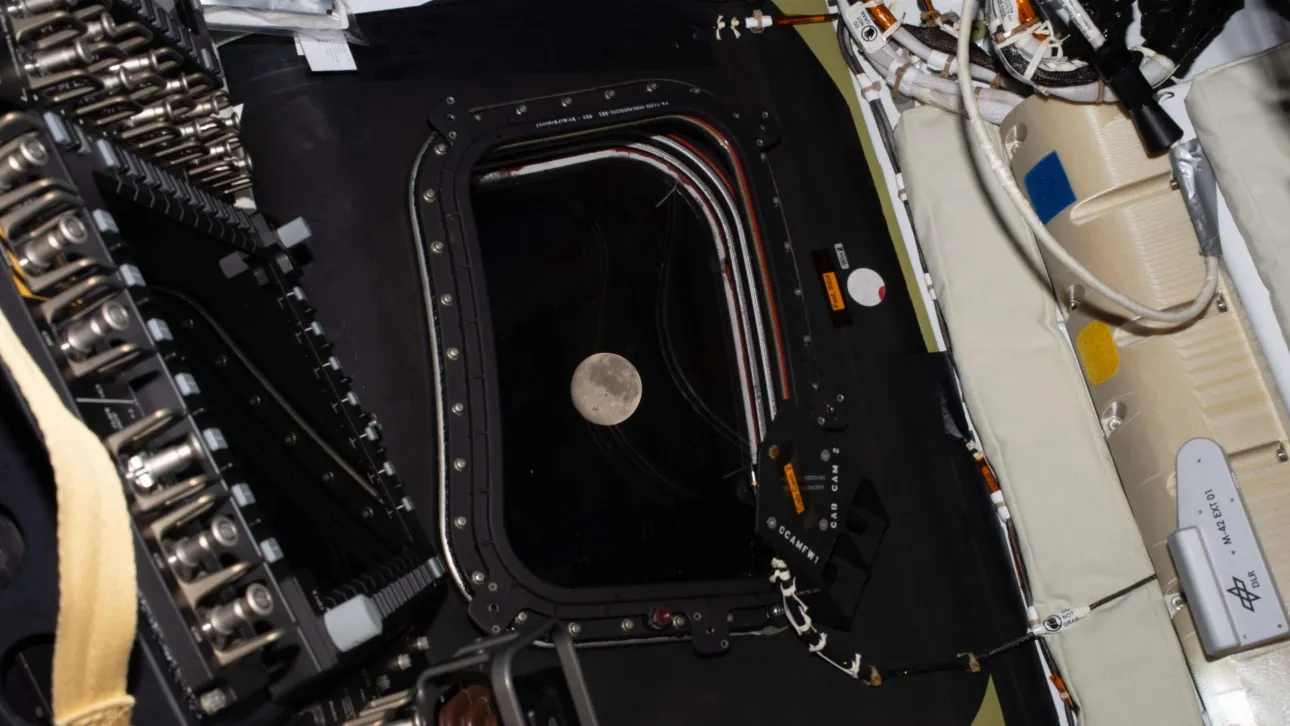 ΗΠΑ: «Ανθίζουν» τα μπαρ και τα εστιατόρια που απαγορεύουν τα κινητά