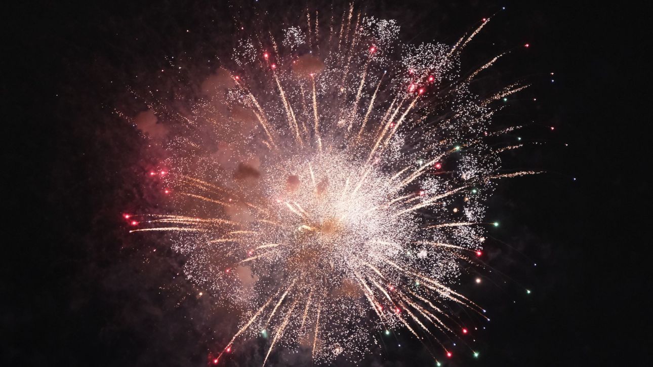 «Τέλος» στα θορυβώδη πυροτεχνήματα που «τραυματίζουν» ζώα και περιβάλλον ζητά η ΝΕΜΕΣΙΣ