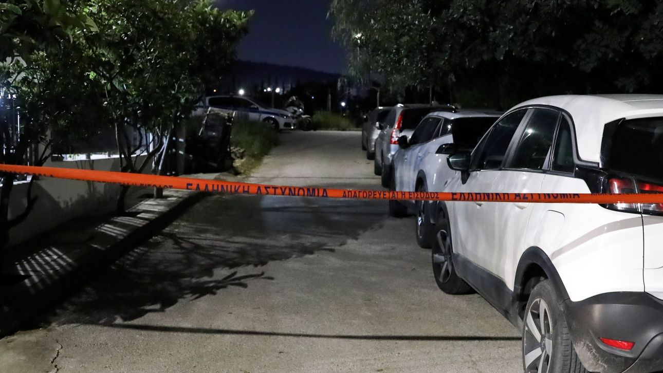 &Tau;&alpha;&upsilon;&tau;&omicron;&pi;&omicron;&iota;ή&theta;&eta;&kappa;&epsilon; &omicron; &nu;&epsilon;&kappa;&rho;ό&sigmaf; ά&nu;&delta;&rho;&alpha;&sigmaf; &sigma;&tau;&eta;&nu; &Pi;&alpha;&lambda;&lambda;ή&nu;&eta;