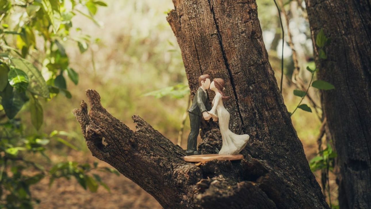 &Mu;&epsilon;&lambda;έ&tau;&eta; &delta;&iota;&alpha;&pi;ί&sigma;&tau;&omega;&sigma;&epsilon; &alpha;&pi;&rho;ό&sigma;&mu;&epsilon;&nu;&epsilon;&sigmaf; &alpha;&nu;&tau;&iota;&kappa;&alpha;&rho;&kappa;&iota;&nu;&iota;&kappa;έ&sigmaf; &iota;&delta;&iota;ό&tau;&eta;&tau;&epsilon;&sigmaf; &sigma;&tau;&omicron;&nu; έ&gamma;&gamma;&alpha;&mu;&omicron; &beta;ί&omicron;