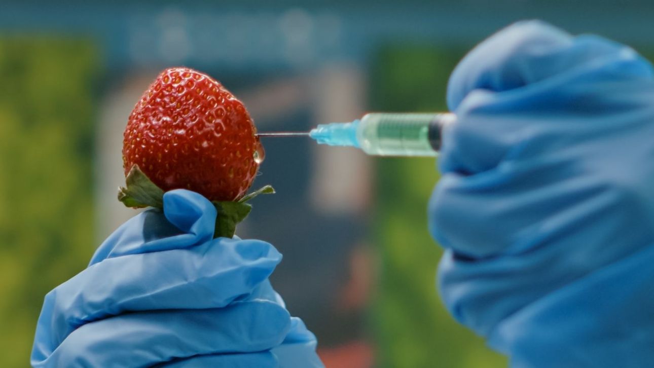 &Alpha;&lambda;&lambda;ά&zeta;&omicron;&upsilon;&nu; &sigma;&tau;&eta;&nu; &Epsilon;&Epsilon; &omicron;&iota; &kappa;&alpha;&nu;&omicron;&nu;&iota;&sigma;&mu;&omicron;ί &sigma;&tau;&alpha; &mu;&epsilon;&tau;&alpha;&lambda;&lambda;&alpha;&gamma;&mu;έ&nu;&alpha;: &laquo;&Kappa;&alpha;&mu;&pi;&alpha;&nu;ά&kappa;&iota;&raquo; &pi;&epsilon;&rho;&iota;&beta;&alpha;&lambda;&lambda;&omicron;&nu;&tau;&iota;&kappa;ώ&nu; &omicron;&rho;&gamma;&alpha;&nu;ώ&sigma;&epsilon;&omega;&nu;