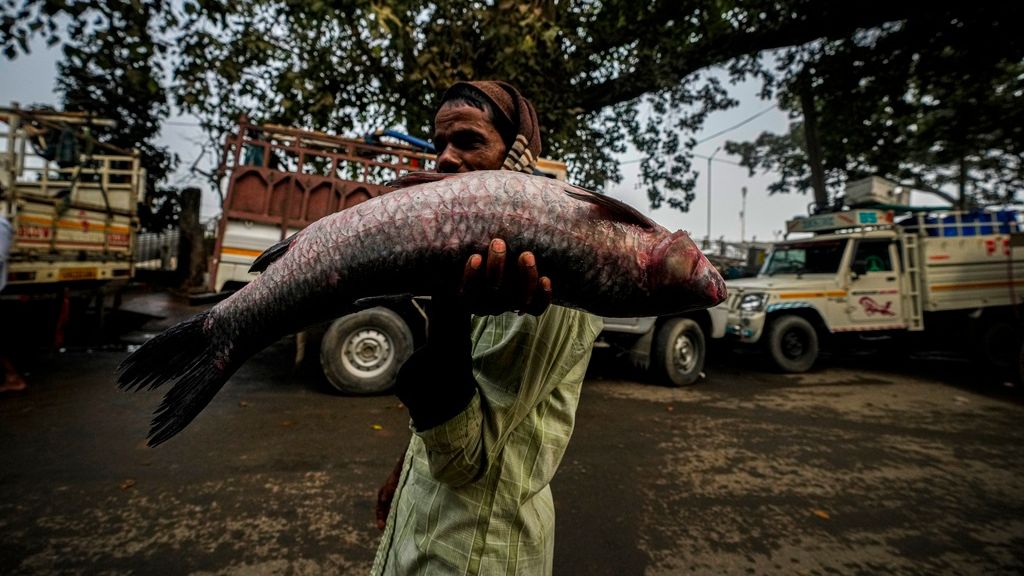 Γιατί πολιτικοί στην Ινδία κάνουν προεκλογική εκστρατεία κρατώντας ψάρια - Εμπλοκή και του Μόντι