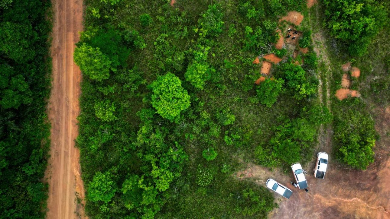 Το «Στόουνχεντζ του Αμαζονίου» ανατρέπει τον μύθο της άδειας ζούγκλας