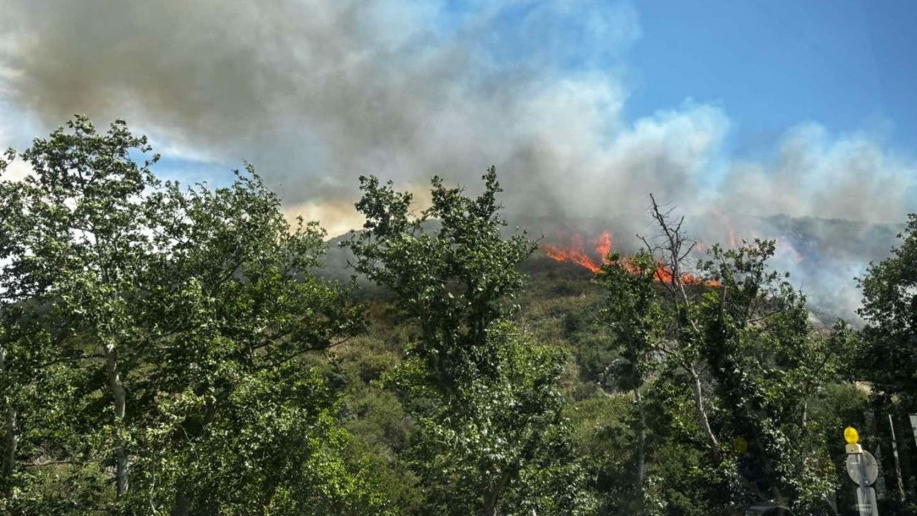 Τρεις συλλήψεις για την πυρκαγιά σε δασική έκταση στο Φίλυρο