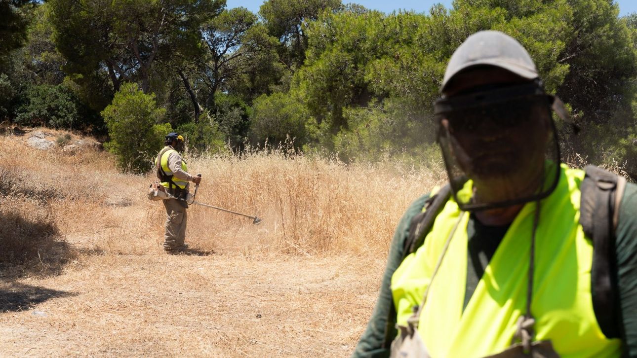 &Kappa;&alpha;&theta;&alpha;&rho;&iota;&sigma;&mu;ό&sigmaf; &omicron;&iota;&kappa;&omicron;&pi;έ&delta;&omega;&nu; - &Pi;&Omicron;&Mu;&Iota;&Delta;&Alpha;: &laquo;&Kappa;&alpha;&theta;&alpha;&rho;ί&sigma;&tau;&epsilon; &tau;&alpha; &tau;ώ&rho;&alpha;, &mu;&pi;&omicron;&rho;&epsilon;ί &nu;&alpha; &sigma;&alpha;&sigmaf; &gamma;&lambda;&iota;&tau;ώ&sigma;&epsilon;&iota; &alpha;&pi;ό &tau;&omicron; &pi;&rho;ό&sigma;&tau;&iota;&mu;&omicron;&raquo;