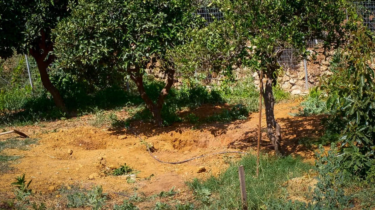&Delta;&eta;&mu;&omicron;&gamma;&lambda;ί&delta;&omicron;&upsilon; &gamma;&iota;&alpha; &delta;&omicron;&lambda;&omicron;&phi;&omicron;&nu;ί&alpha; &Sigma;&tau;&alpha;&upsilon;&rho;&omicron;ύ&lambda;&alpha;&sigmaf; &Lambda;&epsilon;&beta;&epsilon;&nu;&tau;ά&kappa;&eta;: &Omicron; &kappa;&alpha;&tau;&eta;&gamma;&omicron;&rho;&omicron;ύ&mu;&epsilon;&nu;&omicron;&sigmaf; &pi;&rho;&omicron;&sigma;&pi;ά&theta;&eta;&sigma;&epsilon; &nu;&alpha; &epsilon;&xi;&alpha;&phi;&alpha;&nu;ί&sigma;&epsilon;&iota; &tau;&alpha; ί&chi;&nu;&eta; &tau;&omicron;&upsilon;