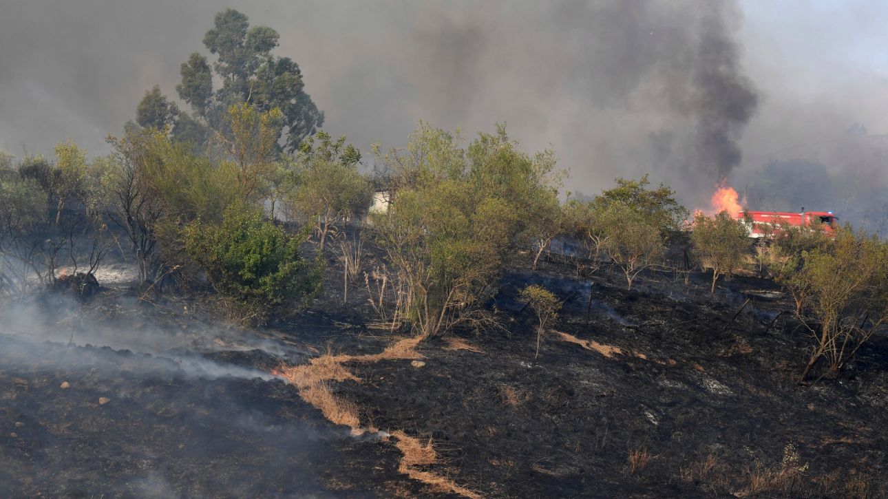 &Iota;&tau;&alpha;&lambda;ί&alpha;: &Rho;&epsilon;&kappa;ό&rho; &pi;&upsilon;&rho;&kappa;&alpha;&gamma;&iota;ώ&nu; &tau;&omicron; &tau;&epsilon;&lambda;&epsilon;&upsilon;&tau;&alpha;ί&omicron; 24&omega;&rho;&omicron; - &Pi;&rho;&omicron;&beta;&lambda;ή&mu;&alpha;&tau;&alpha; &sigma;&epsilon; &omicron;&delta;&iota;&kappa;ό &kappa;&alpha;&iota; &sigma;&iota;&delta;&eta;&rho;&omicron;&delta;&rho;&omicron;&mu;&iota;&kappa;ό &delta;ί&kappa;&tau;&upsilon;&omicron;
