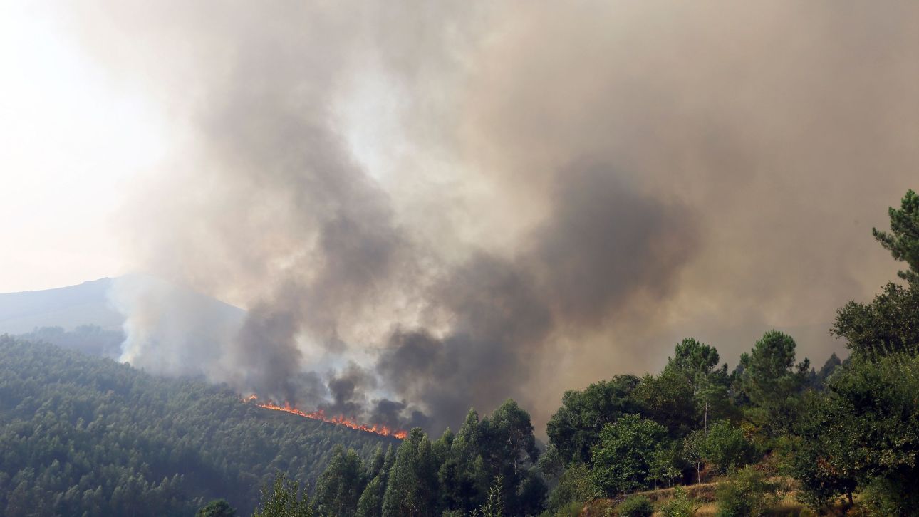 &Pi;&omicron;&rho;&tau;&omicron;&gamma;&alpha;&lambda;ί&alpha;: &Pi;&epsilon;&rho;ί&pi;&omicron;&upsilon; 800 &pi;&upsilon;&rho;&omicron;&sigma;&beta;έ&sigma;&tau;&epsilon;&sigmaf; &sigma;&epsilon; &pi;&upsilon;&rho;&kappa;&alpha;&gamma;&iota;ά &sigma;&tau;&omicron; &beta;ό&rho;&epsilon;&iota;&omicron; &tau;&mu;ή&mu;&alpha; &tau;&eta;&sigmaf; &chi;ώ&rho;&alpha;&sigmaf;