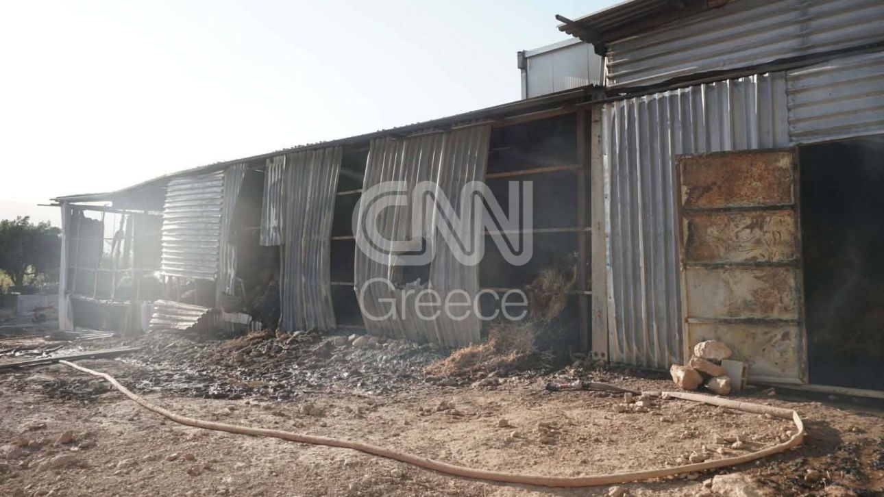 Σε πύρινο κλοιό: Στην Αγία Παρασκευή το κύριο «μέτωπο» στο Ρέθυμνο, μήνυμα 112 στην Φλόκα Αχαΐας