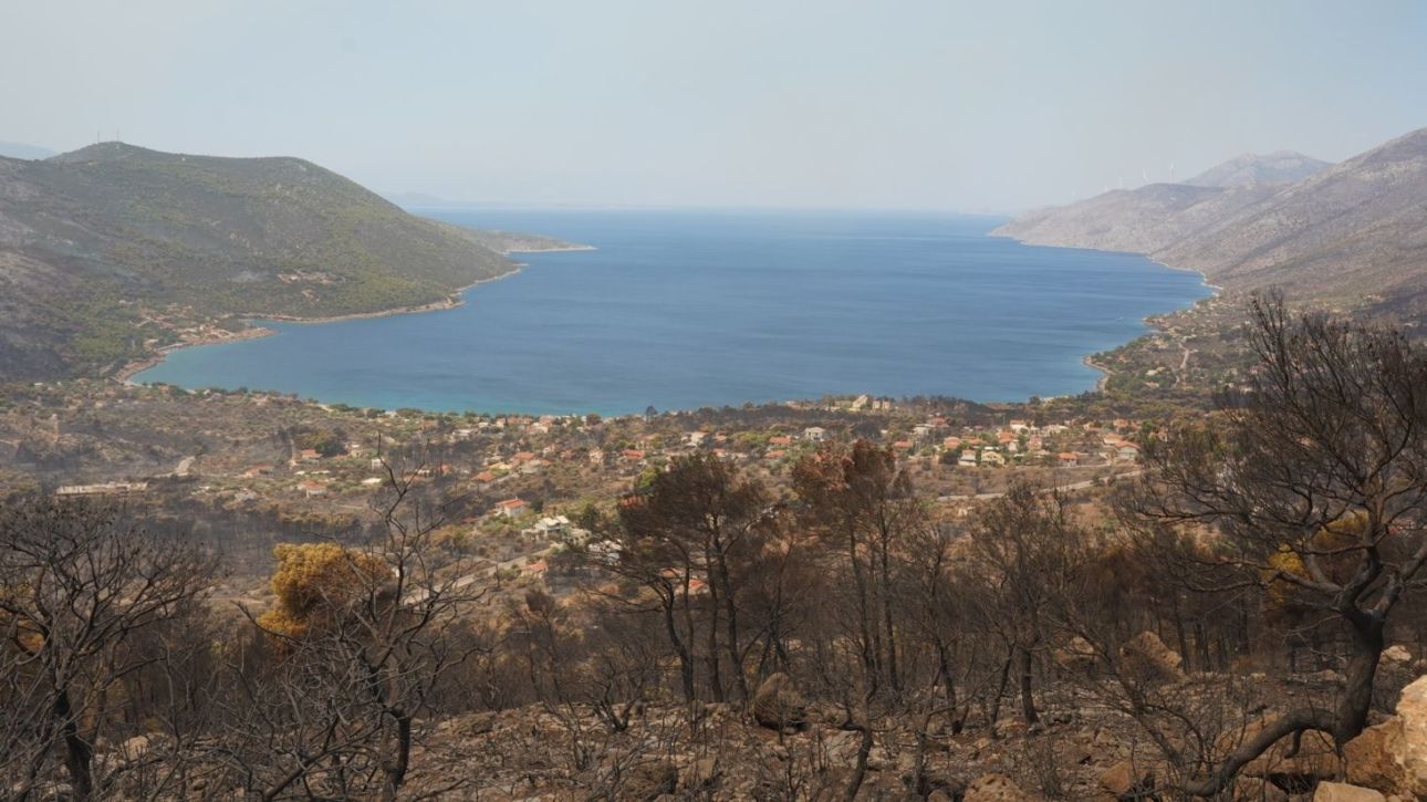 Το κόστος των πυρκαγιών στην Ευρώπη έχει ξεπεράσει τα 3 δισ. ευρώ - Στα 5 εκατ. οι καμένες εκτάσεις
