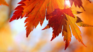 O δεκάλογος για να φροντίσεις τον αέρα του σπιτιού σου