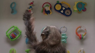 Ένα εξωγήινο μωρό αξίας 5 εκατ. δολαρίων