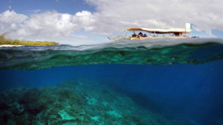 Lady Elliot: Ένα καταδυτικό πάρκο γεμάτο κοράλλια