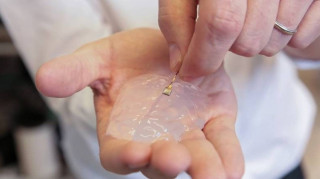 Νέα επαναστατική τεχνολογία – ελπίδα για τους παραπληγικούς;