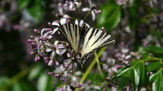 Καιρός: Αναλυτικά η πρόγνωση για το Σάββατο