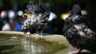 Καιρός: Σε ποιές περιοχές θα πέσει η θερμοκρασία