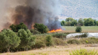 Τριάντα οκτώ αγροτοδασικές πυρκαγιές εκδηλώθηκαν το τελευταίο 24ωρο σε όλη την Ελλάδα