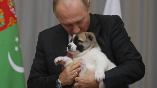 Ο Βέρνι και... όλοι οι σκύλοι του προέδρου