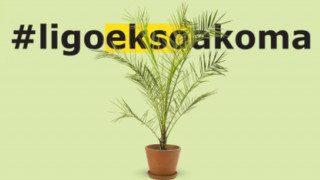 Δημιούργησε ένα ανοιξιάτικο τοπίο στο μπαλκόνι σου