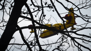 Φωτιά Αττική: Μέτρα στήριξης των πληγέντων ανακοίνωσε το υπουργείο Εργασίας