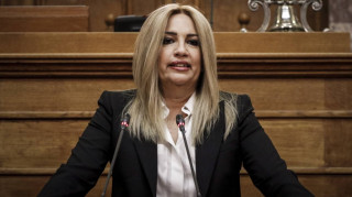 Διαμαρτυρίες Γεννηματά γιατί δεν λειτουργεί ο ανελκυστήρας σκάλας στη Βουλή