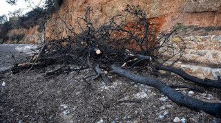 Τραγωδία δίχως τέλος: Στους 100 οι νεκροί από τη φωτιά στο Μάτι